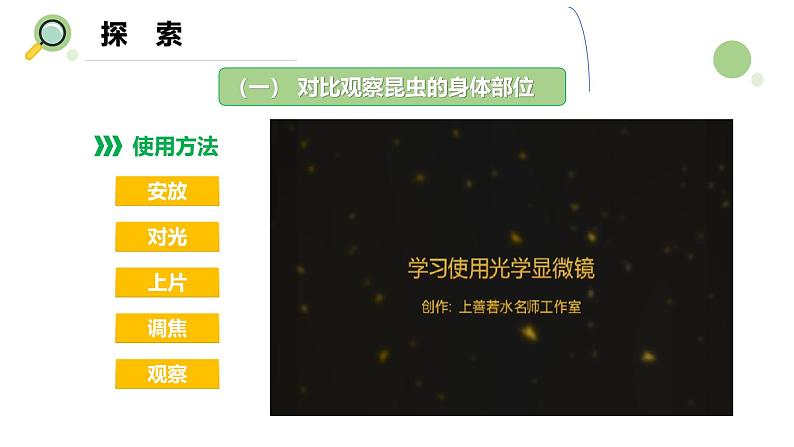 【核心素养】教科版科学六年级上册 1.3 观察身边微小的物体（教学课件+同步教案）05