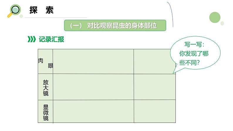 【核心素养】教科版科学六年级上册 1.3 观察身边微小的物体（教学课件+同步教案）06