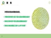 【核心素養(yǎng)】教科版科學(xué)六年級上冊 1.5 觀察更多的生物細(xì)胞（教學(xué)課件+同步教案）