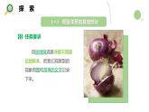 【核心素養(yǎng)】教科版科學(xué)六年級上冊 1.5 觀察更多的生物細(xì)胞（教學(xué)課件+同步教案）