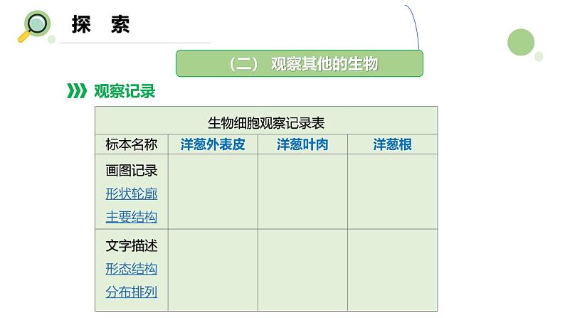 【核心素养】教科版科学六年级上册 1.5 观察更多的生物细胞（教学课件+同步教案）06