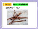 【核心素养】苏教版科学六年级上册 1.2 铁钉生锈（教学课件+同步教案）