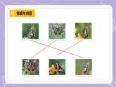 【核心素養(yǎng)】蘇教版科學(xué)六年級上冊 2.5 生物的遺傳（教學(xué)課件+同步教案）