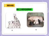 【核心素養(yǎng)】蘇教版科學(xué)六年級(jí)上冊(cè) 2.6 生物的變異（教學(xué)課件+同步教案）