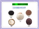【核心素養(yǎng)】蘇教版科學(xué)六年級(jí)上冊(cè) 2.6 生物的變異（教學(xué)課件+同步教案）