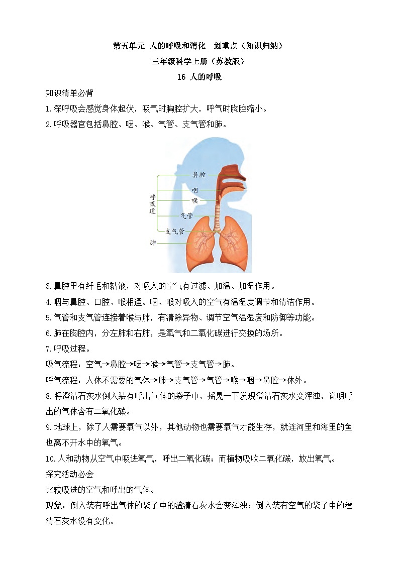 三年级科学上册（苏教版）第五单元 人的呼吸和消化 划重点（知识归纳）01