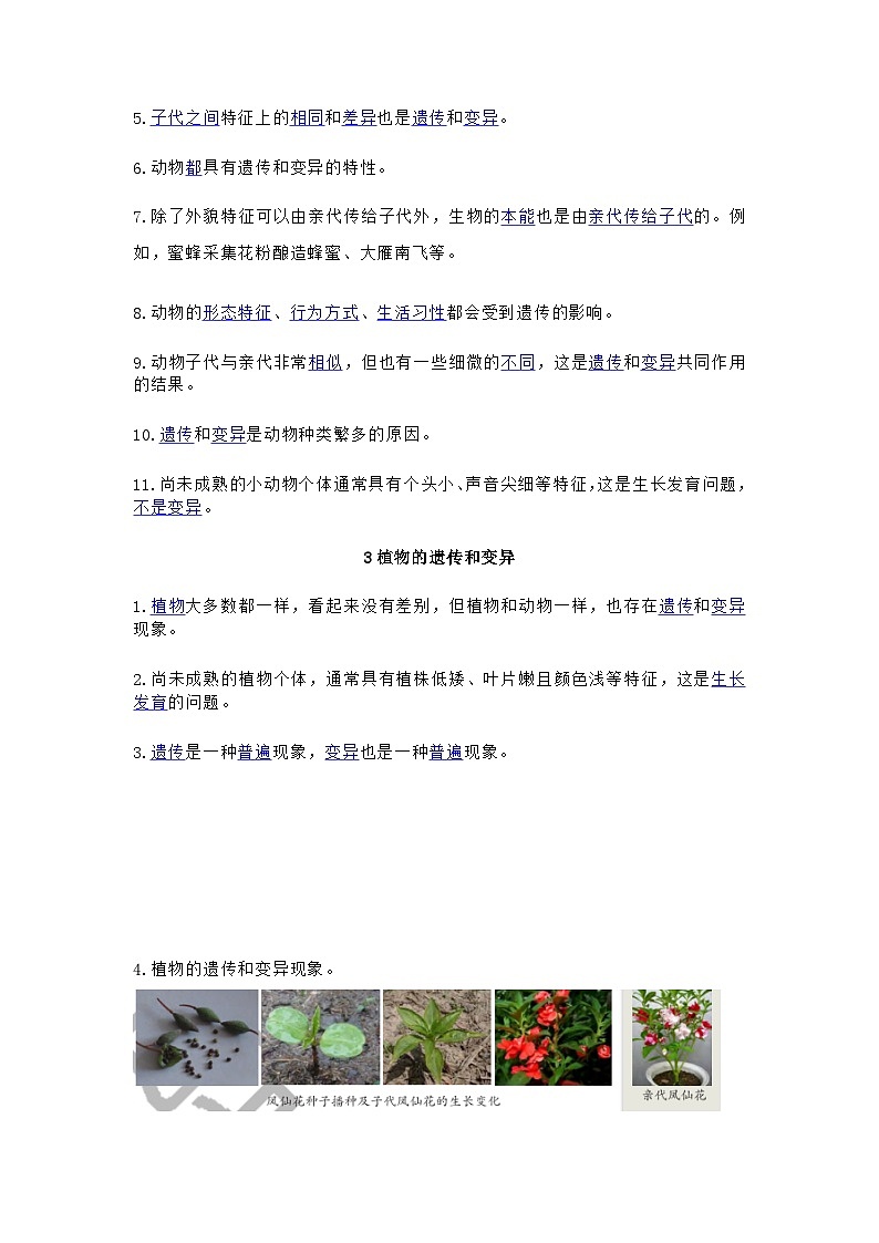 大象版科学六年级上册第四单元 遗传和变异 知识点02