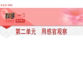 蘇教版（2024秋）科學(xué) 一年級(jí)第二單元《用感官觀察》單元解析課件