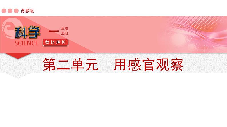 苏教版（2024秋）科学 一年级第二单元《用感官观察》单元解析课件01