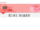 苏教版（2024年秋）科学 一年级第三单元《用大脑思考》单元解析课件