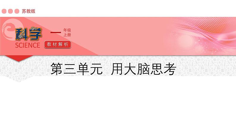 苏教版（2024年秋）科学 一年级第三单元《用大脑思考》单元解析课件01