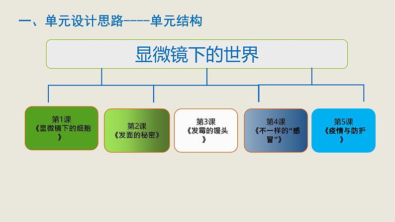 大象版（2017秋） 六年级上册第一单元《显微镜下的世界》单元教材分析与教学建议（课件）07