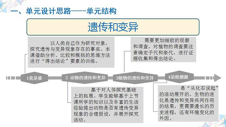 大象版（2017秋） 六年级上册第四单元《遗传与变异》单元教材分析与实施建议（课件）06