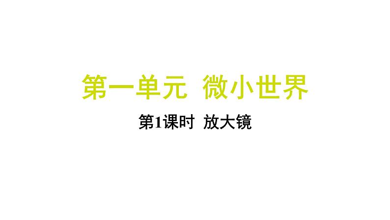 1.1 放大镜 （习题课件)-2024-2025学年科学六年级上册教科版第1页