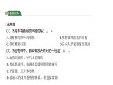 1.1 放大镜 （习题课件)-2024-2025学年科学六年级上册教科版