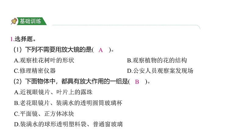 1.1 放大镜 （习题课件)-2024-2025学年科学六年级上册教科版第2页