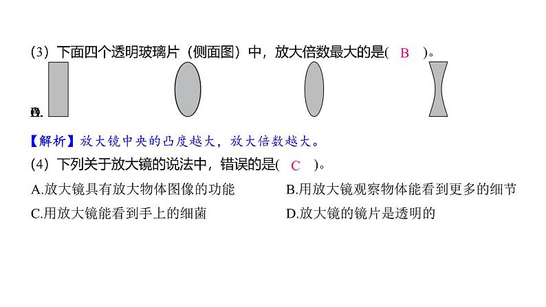 1.1 放大镜 （习题课件)-2024-2025学年科学六年级上册教科版第3页