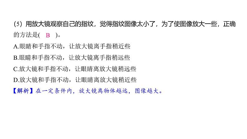 1.1 放大镜 （习题课件)-2024-2025学年科学六年级上册教科版第4页