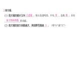 1.1 放大镜 （习题课件)-2024-2025学年科学六年级上册教科版