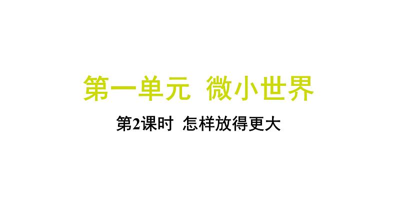 1.2 怎样放得更大（习题课件)-2024-2025学年科学六年级上册教科版第1页