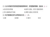 1.2 怎样放得更大（习题课件)-2024-2025学年科学六年级上册教科版