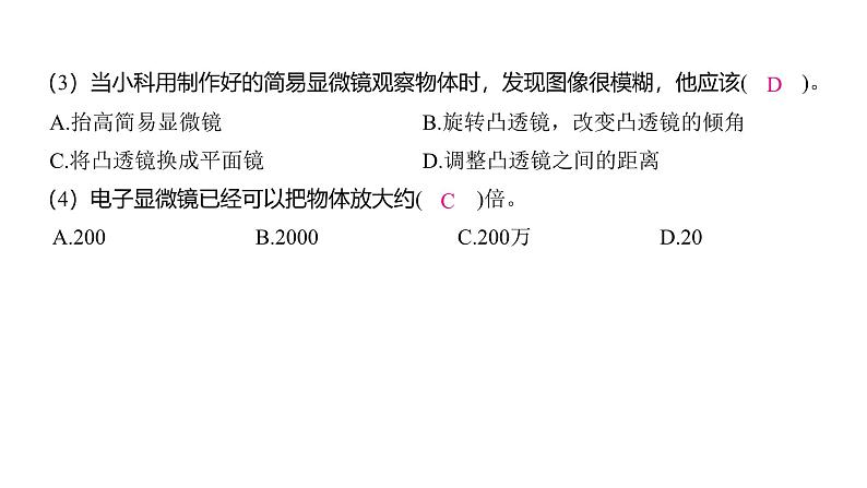 1.2 怎样放得更大（习题课件)-2024-2025学年科学六年级上册教科版第4页