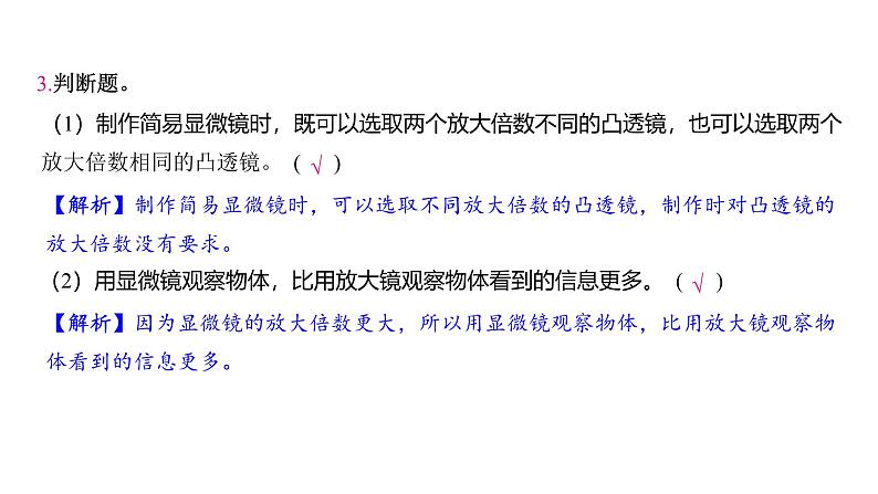 1.2 怎样放得更大（习题课件)-2024-2025学年科学六年级上册教科版第6页