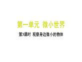 1.3 观察身边微小的物体（习题课件)-2024-2025学年科学六年级上册教科版