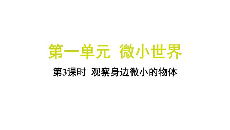 1.3 观察身边微小的物体（习题课件)-2024-2025学年科学六年级上册教科版01