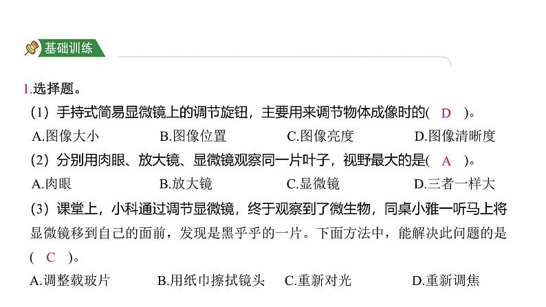 1.3 观察身边微小的物体（习题课件)-2024-2025学年科学六年级上册教科版02