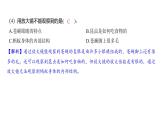 1.3 观察身边微小的物体（习题课件)-2024-2025学年科学六年级上册教科版