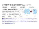 1.3 观察身边微小的物体（习题课件)-2024-2025学年科学六年级上册教科版