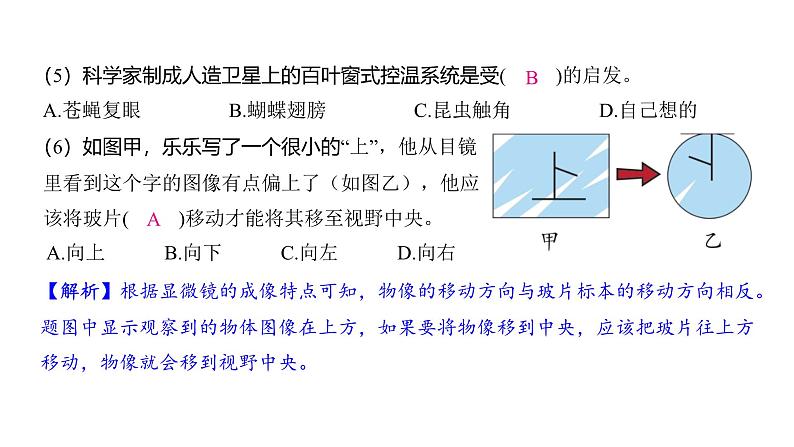 1.3 观察身边微小的物体（习题课件)-2024-2025学年科学六年级上册教科版04