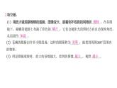1.3 观察身边微小的物体（习题课件)-2024-2025学年科学六年级上册教科版