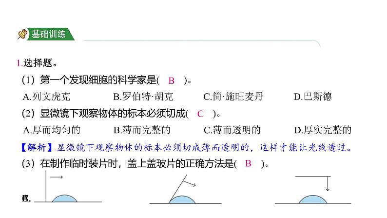 1.4 观察洋葱表皮细胞（习题课件)-2024-2025学年科学六年级上册教科版第2页