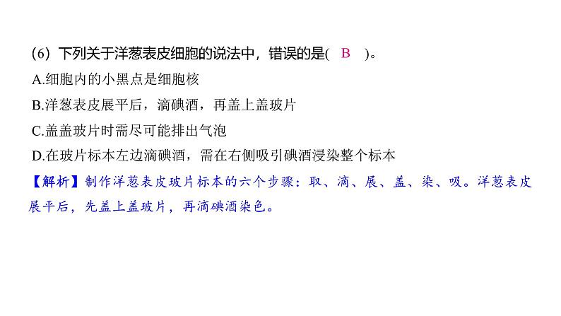 1.4 观察洋葱表皮细胞（习题课件)-2024-2025学年科学六年级上册教科版第4页