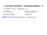 1.4 观察洋葱表皮细胞（习题课件)-2024-2025学年科学六年级上册教科版