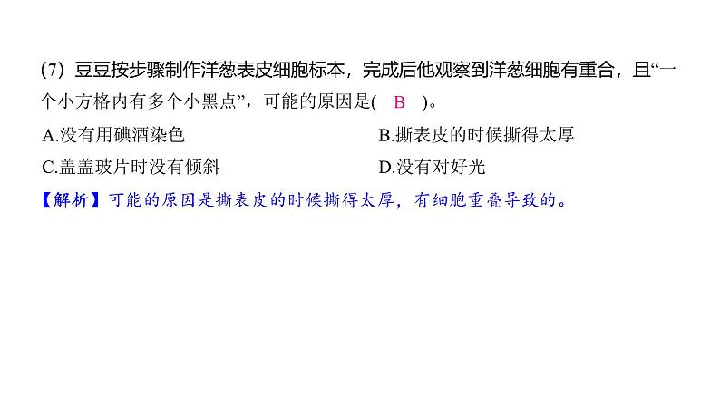 1.4 观察洋葱表皮细胞（习题课件)-2024-2025学年科学六年级上册教科版第5页