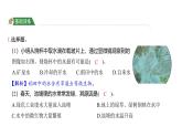 1.6 观察水中微小的生物（习题课件)-2024-2025学年科学六年级上册教科版