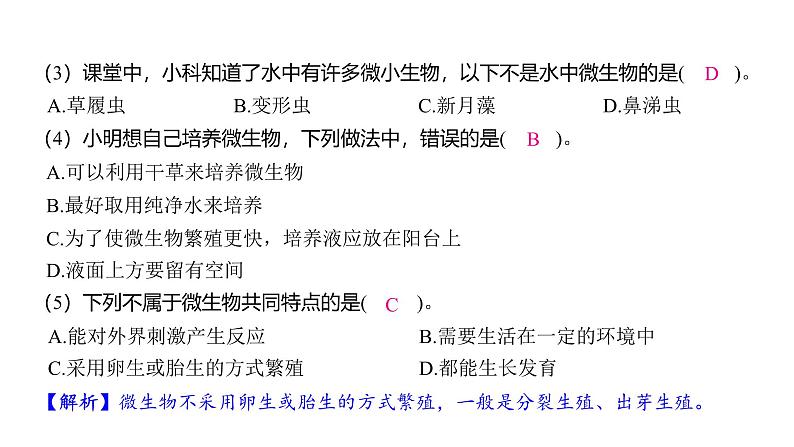 1.6 观察水中微小的生物（习题课件)-2024-2025学年科学六年级上册教科版第3页