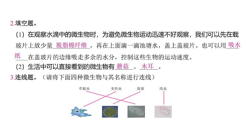 1.6 观察水中微小的生物（习题课件)-2024-2025学年科学六年级上册教科版第4页