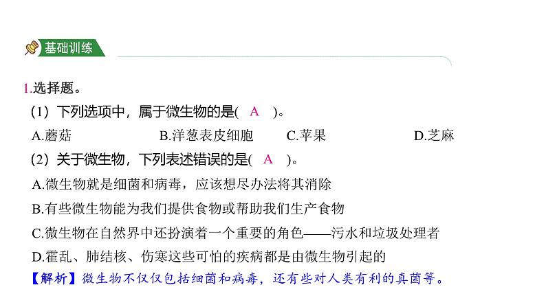 1.7 微生物与健康（习题课件)-2024-2025学年科学六年级上册教科版02