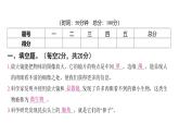 第一单元 微小世界（习题课件)-2024-2025学年科学六年级上册教科版