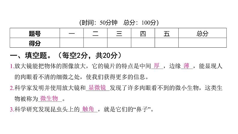 第一单元 微小世界（习题课件)-2024-2025学年科学六年级上册教科版02