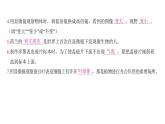 第一单元 微小世界（习题课件)-2024-2025学年科学六年级上册教科版