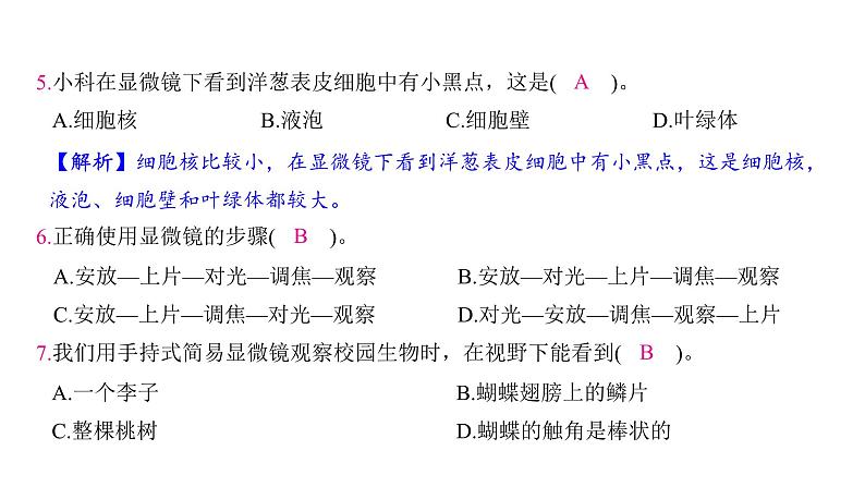 第一单元 微小世界（习题课件)-2024-2025学年科学六年级上册教科版05