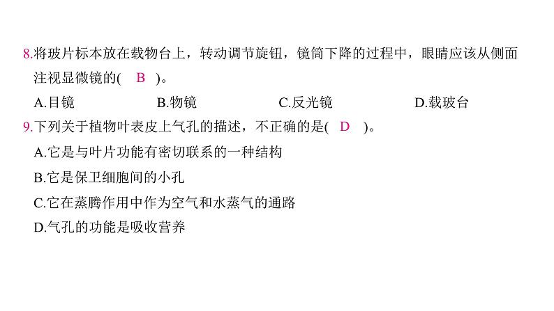 第一单元 微小世界（习题课件)-2024-2025学年科学六年级上册教科版06