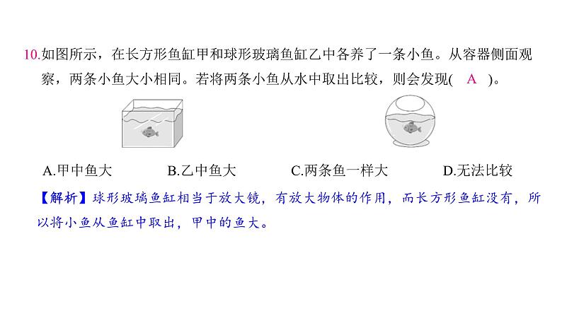 第一单元 微小世界（习题课件)-2024-2025学年科学六年级上册教科版07