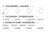 2.1 我们的地球模型（习题课件)-2024-2025学年科学六年级上册教科版