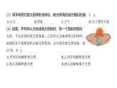 2.2 昼夜交替现象（习题课件)-2024-2025学年科学六年级上册教科版